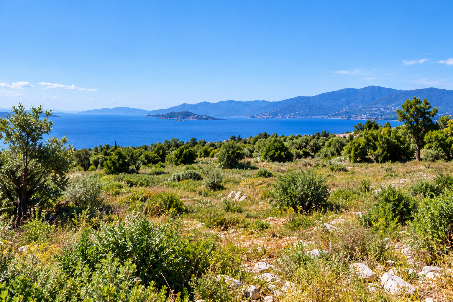 Güzelçamlı Milli Park Eteklerinde Doğa ve Deniz Manzaralı Konut Arsası